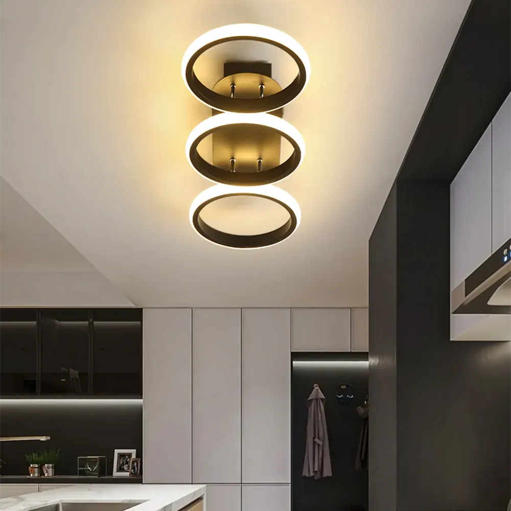 Modern LED Ceiling Light | Sleek Contemporary Fixture