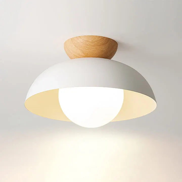 Modern Minimalist Nordic Dome Ceiling Light Fixture