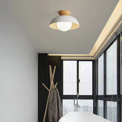 Modern Minimalist Nordic Dome Ceiling Light Fixture