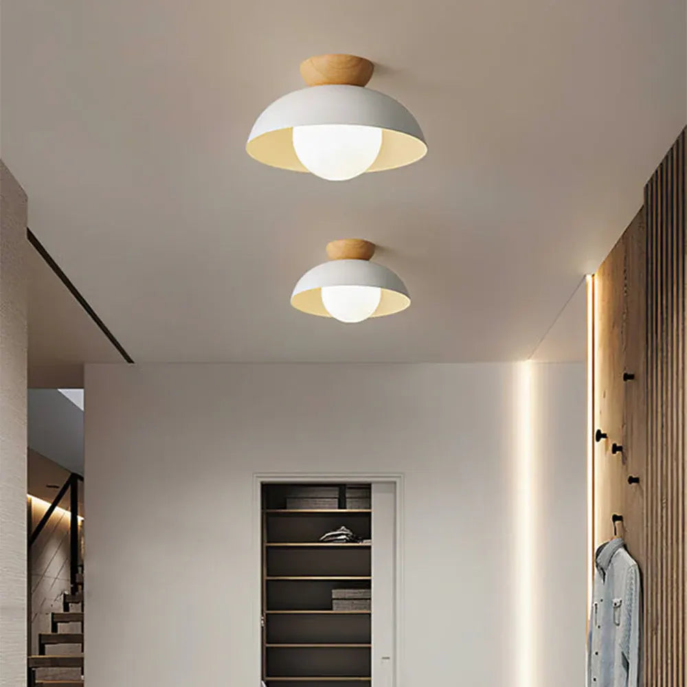 Modern Minimalist Nordic Dome Ceiling Light Fixture