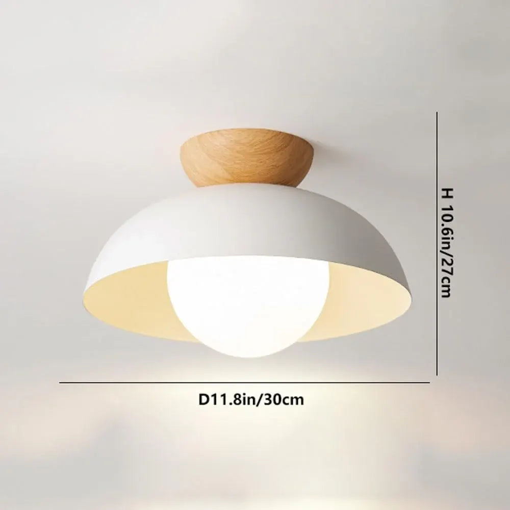 Modern Minimalist Nordic Dome Ceiling Light Fixture
