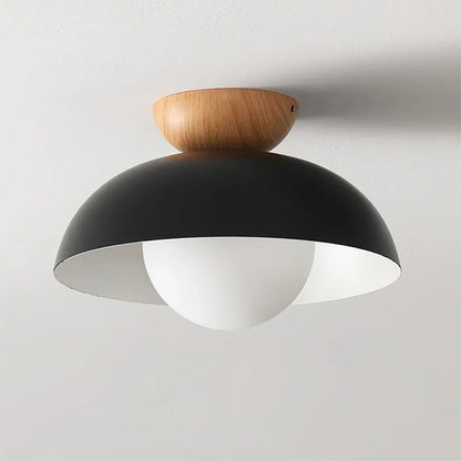 Modern Minimalist Nordic Dome Ceiling Light Fixture