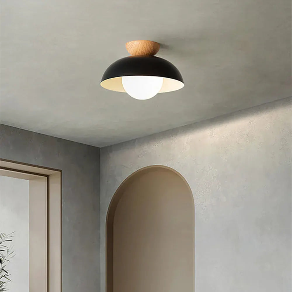 Modern Minimalist Nordic Dome Ceiling Light Fixture