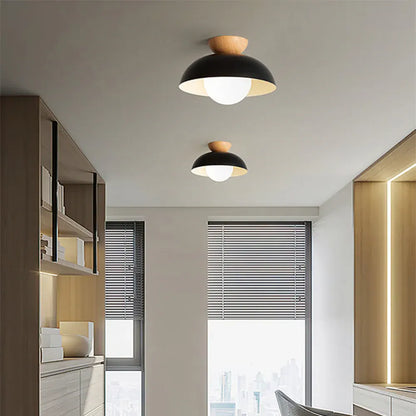 Modern Minimalist Nordic Dome Ceiling Light Fixture