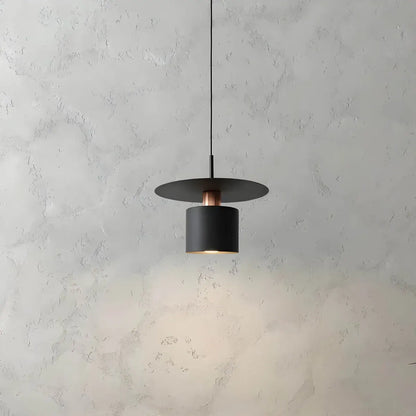 Modern Minimalist Pendant Ceiling Lamp