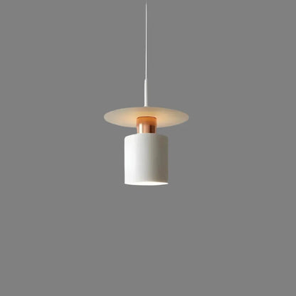 Modern Minimalist Pendant Ceiling Lamp