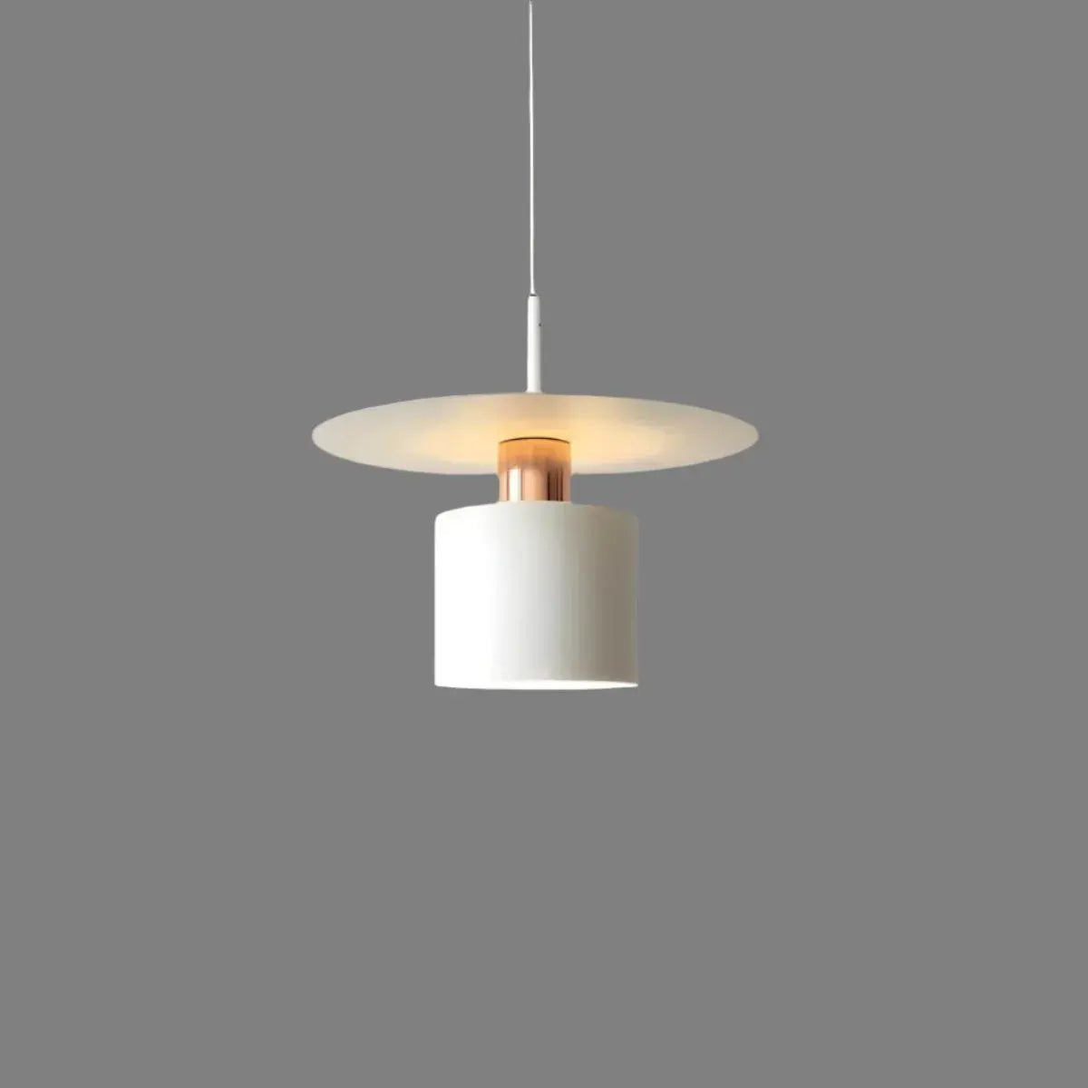 Modern Minimalist Pendant Ceiling Lamp