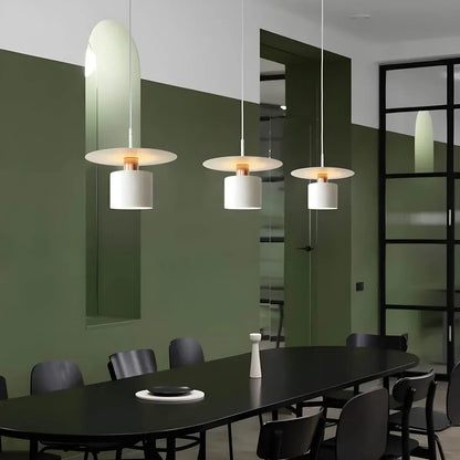 Modern Minimalist Pendant Ceiling Lamp