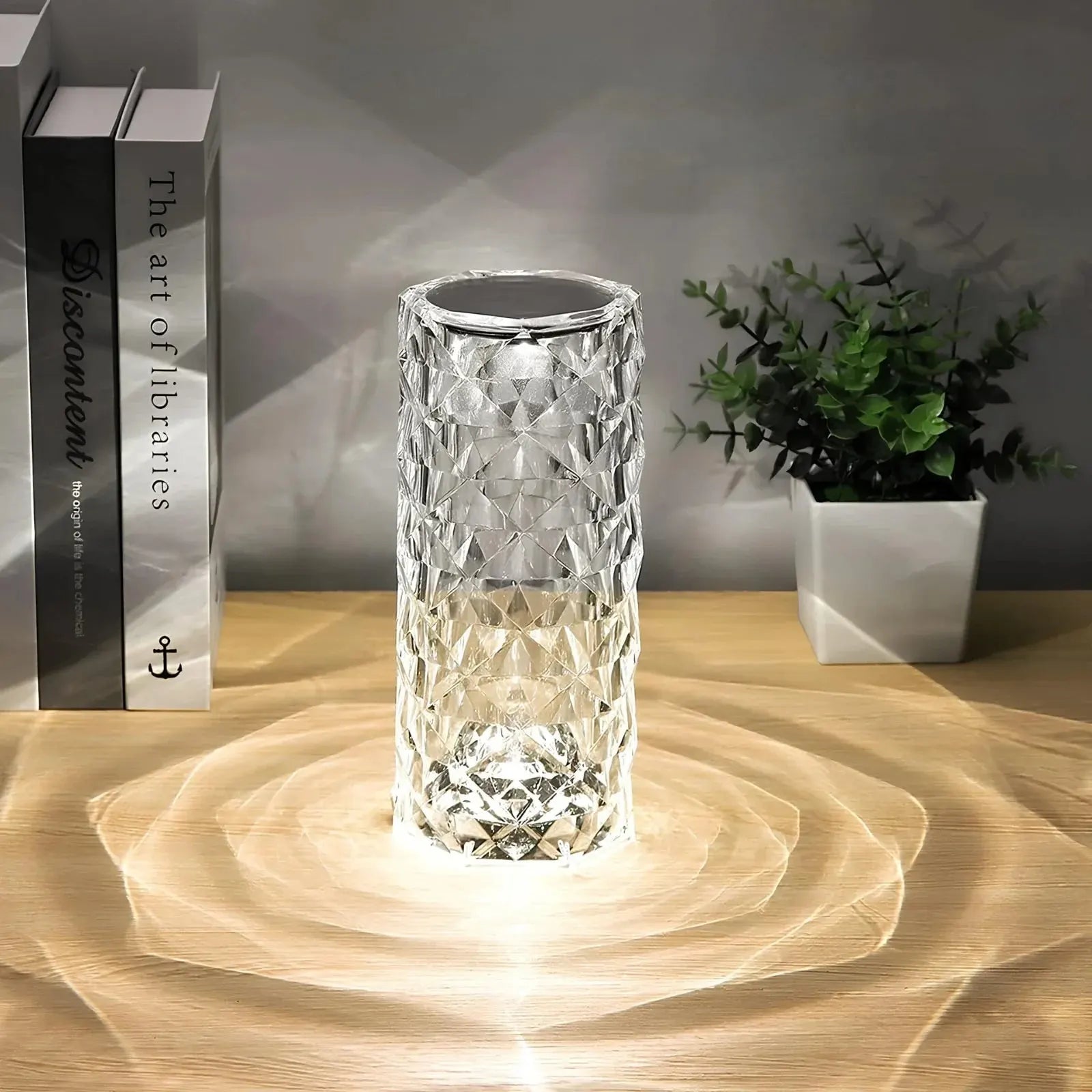 Modern Touch-Control Rechargeable Dimmable Table Lamp with Mood Lighting