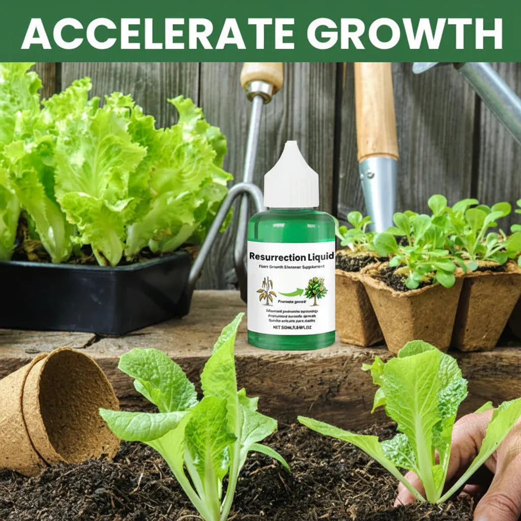 Organic Liquid Plant Food for Healthy Garden Growth