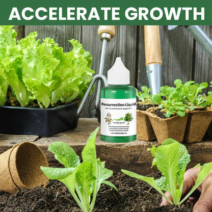 Organic Liquid Plant Food for Healthy Garden Growth
