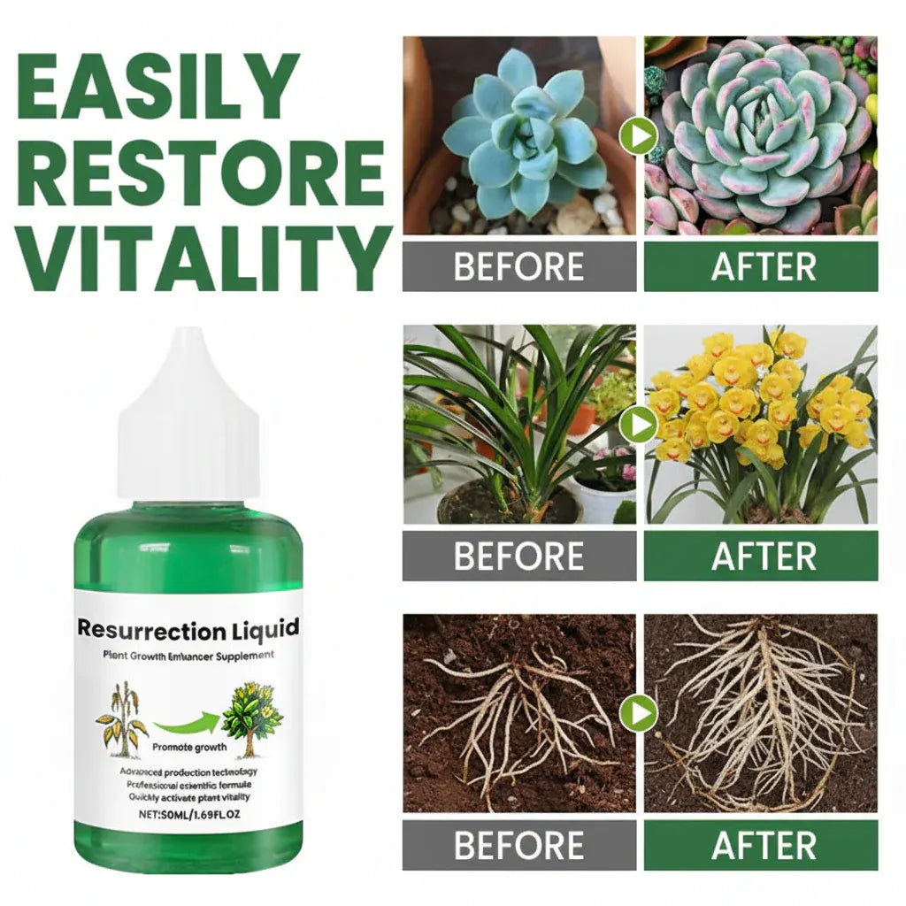 Organic Liquid Plant Food for Healthy Garden Growth