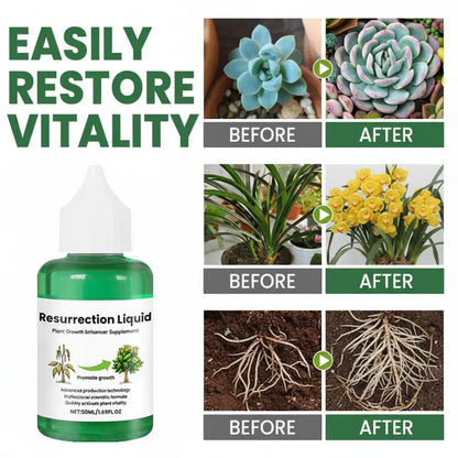 Organic Liquid Plant Food for Healthy Garden Growth