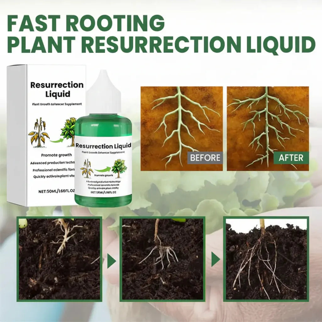 Organic Liquid Plant Food for Healthy Garden Growth