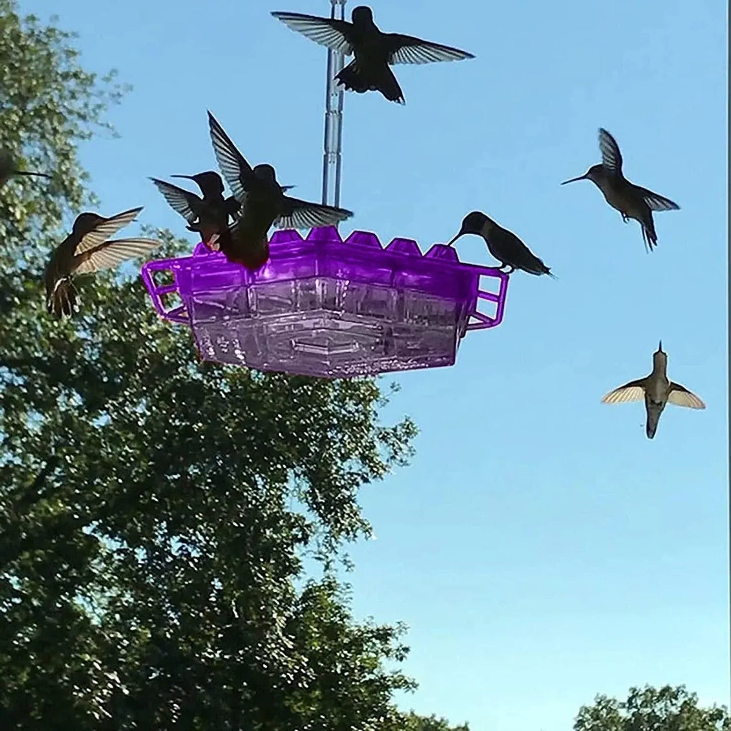 Outdoor Hanging Hummingbird Feeder