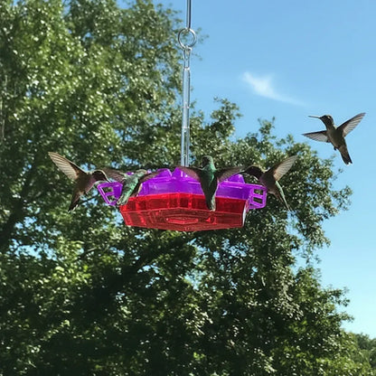 Outdoor Hanging Hummingbird Feeder