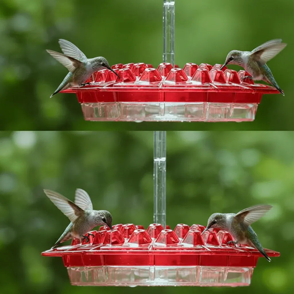 Outdoor Hanging Hummingbird Feeder