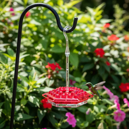 Outdoor Hanging Hummingbird Feeder