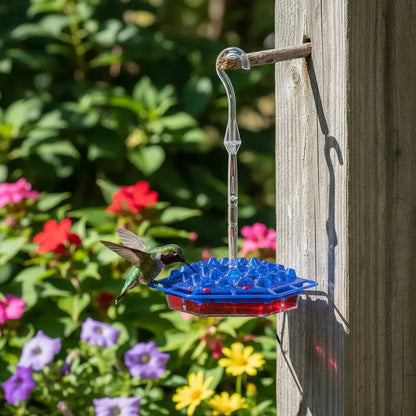 Outdoor Hanging Hummingbird Feeder