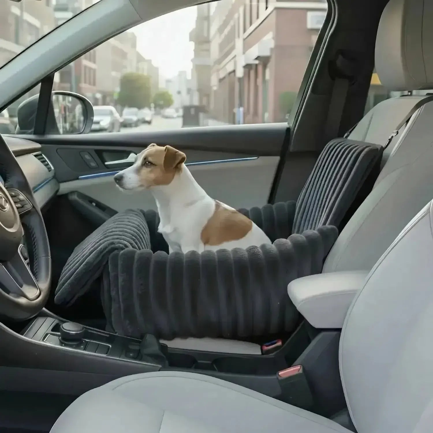 Pet Booster Car Seat for Dogs Travel Safety