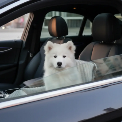 Pet Booster Car Seat for Dogs Travel Safety