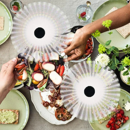 Portable Battery-Operated Fan with Fly Repellent for Outdoor & Table Use