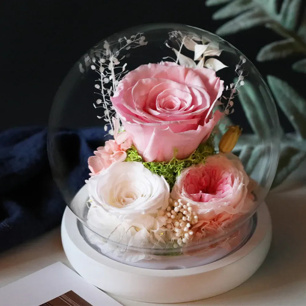 Preserved Rose Flower Dome with LED Light – Mother's Day Table Decor Gift