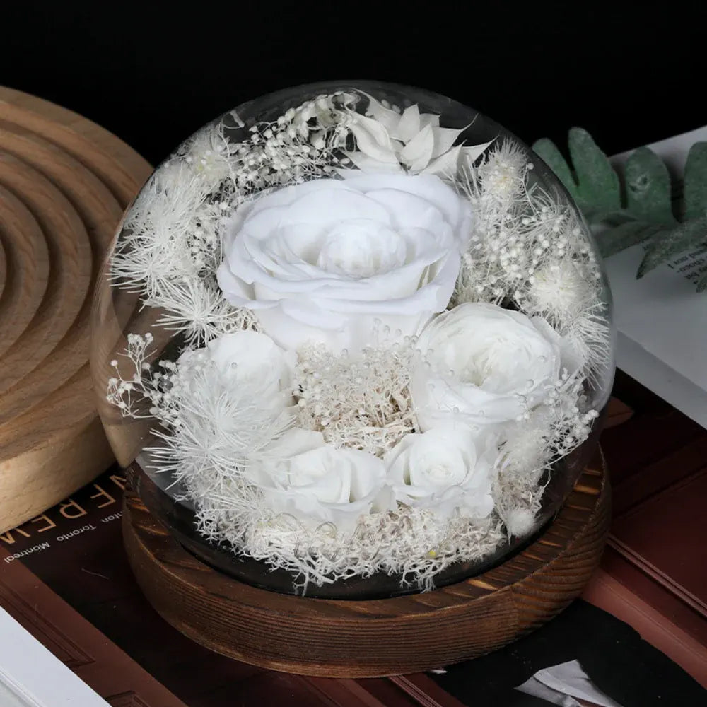 Preserved Rose Flower Dome with LED Light – Mother's Day Table Decor Gift