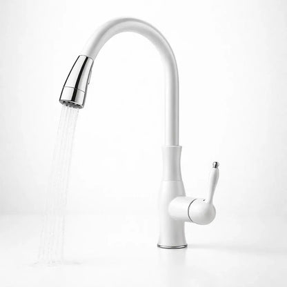 Pull-Out Metal Kitchen Sink Faucet with Modern Design