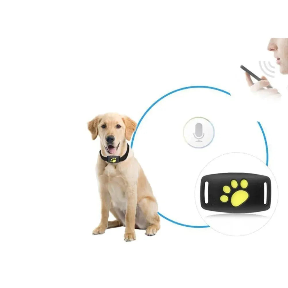 Real-Time GPS Tracking Collar for Cats