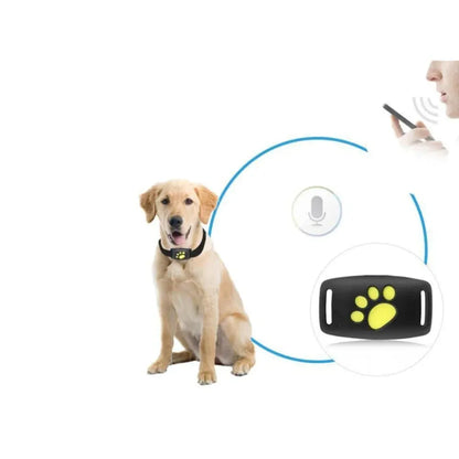 Real-Time GPS Tracking Collar for Cats