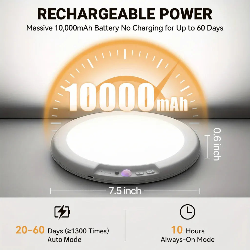 Rechargeable LED Flush Mount Ceiling Lamp with Motion Sensor