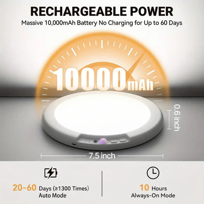 Rechargeable LED Flush Mount Ceiling Lamp with Motion Sensor