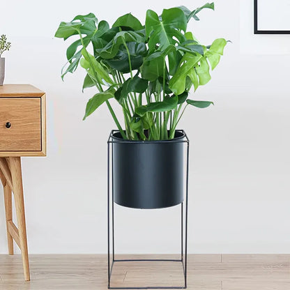 Rectangular Black Metal Plant Stand for Indoor Use – Modern Rectangular Holder Design
