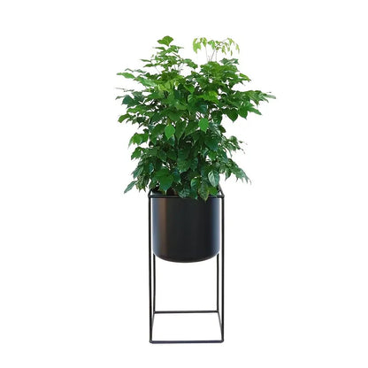 Rectangular Black Metal Plant Stand for Indoor Use – Modern Rectangular Holder Design