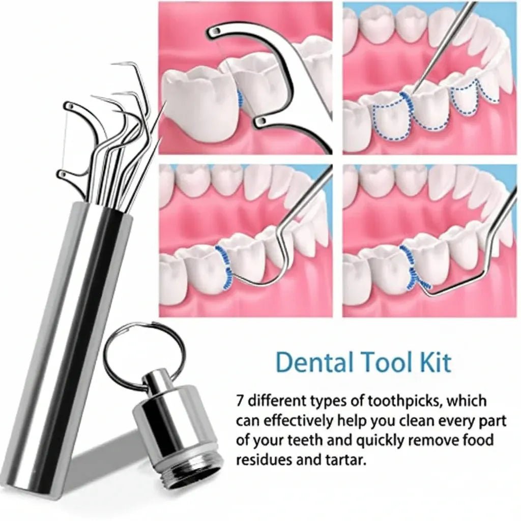 Reusable Metal Toothpick Set with Portable Travel Case