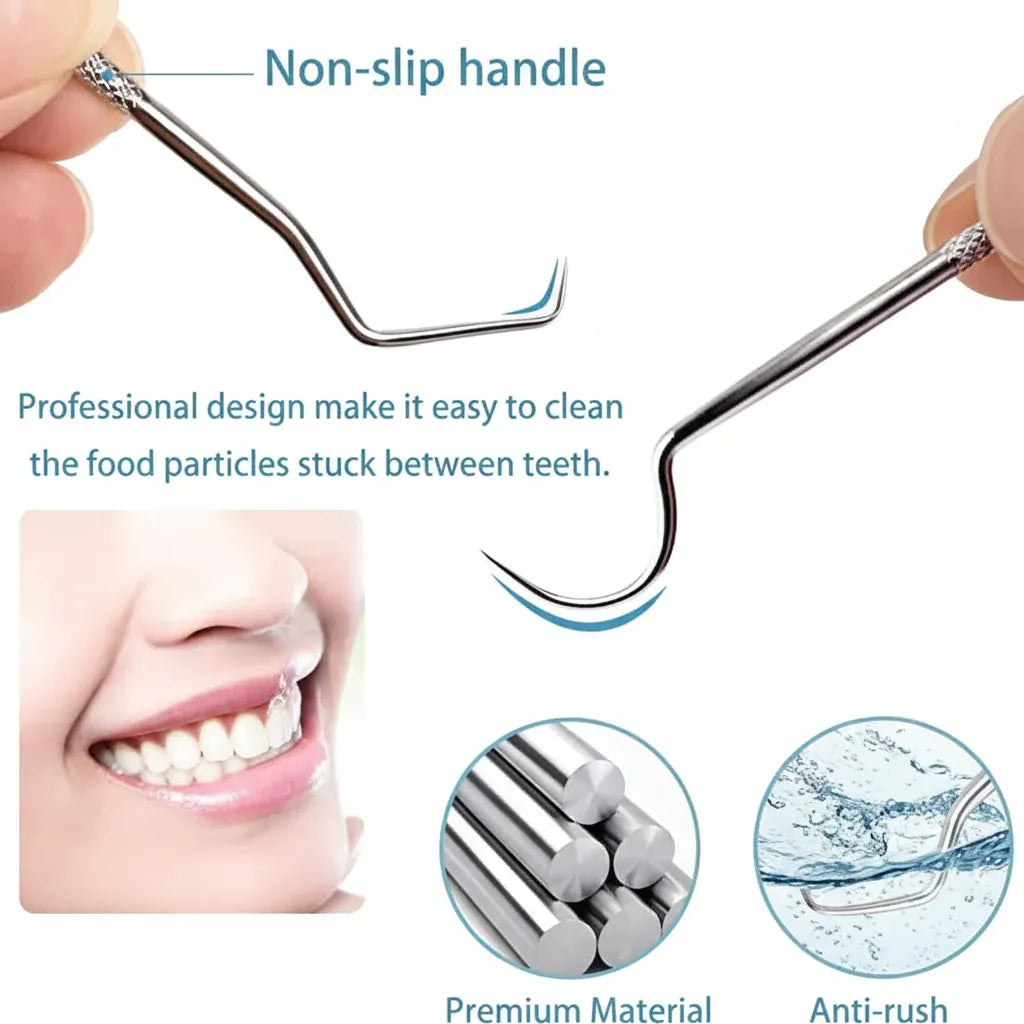 Reusable Metal Toothpick Set with Portable Travel Case
