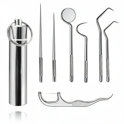 Reusable Metal Toothpick Set with Portable Travel Case