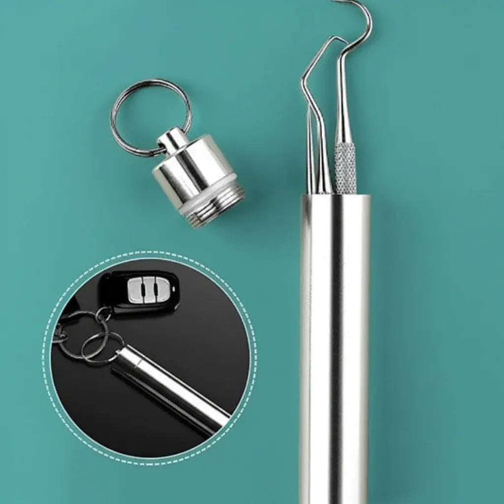 Reusable Metal Toothpick Set with Portable Travel Case