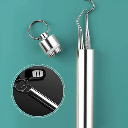 Reusable Metal Toothpick Set with Portable Travel Case