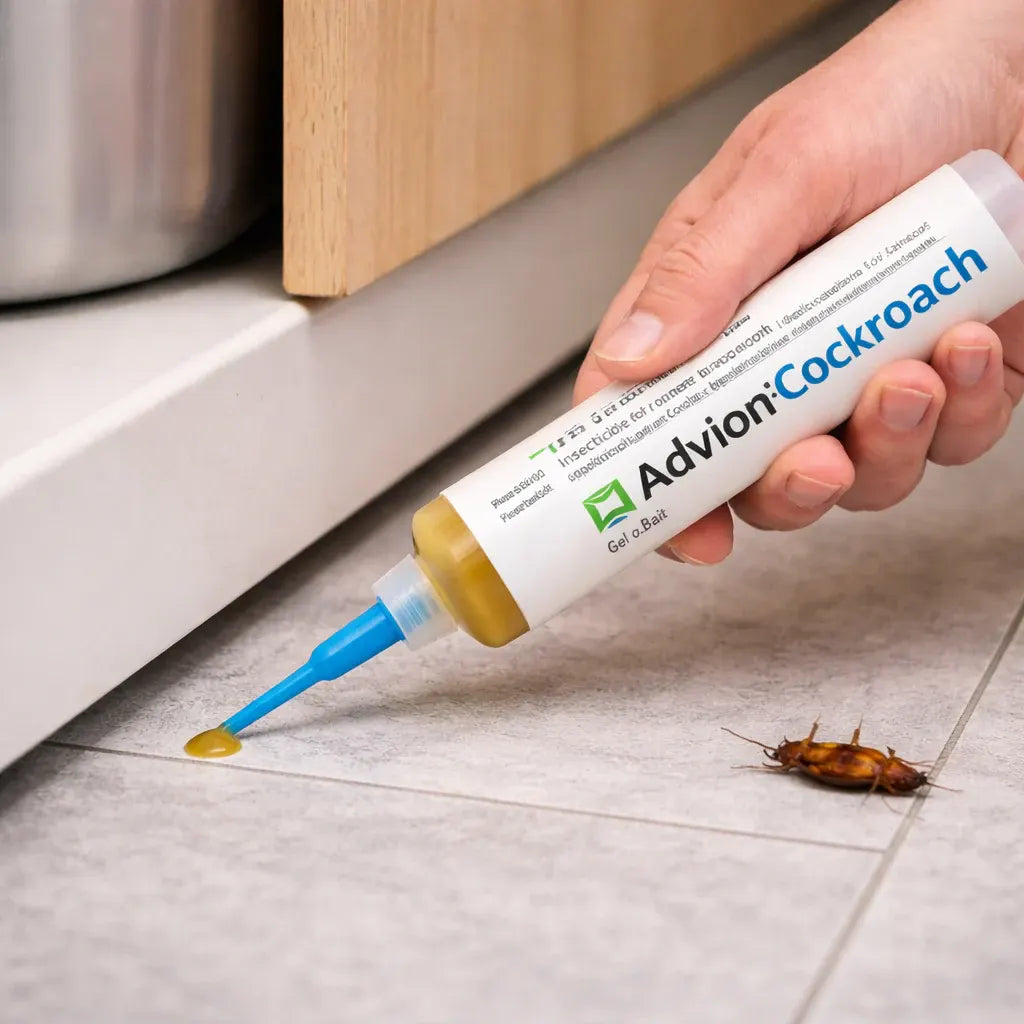 Roach Killer Gel Bait Syringe for Indoor Pest Elimination