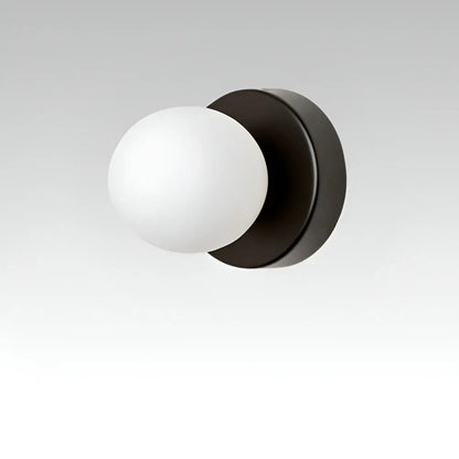 Round Glass Globe Indoor Wall Sconce Mounted Lamp