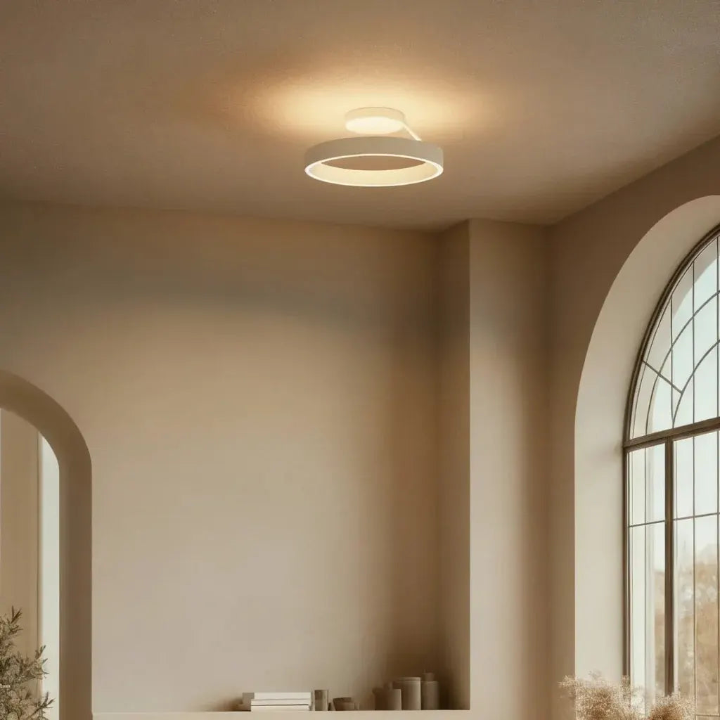 Round LED Flush Mount Ceiling Light Fixture
