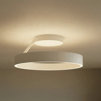 Round LED Flush Mount Ceiling Light Fixture
