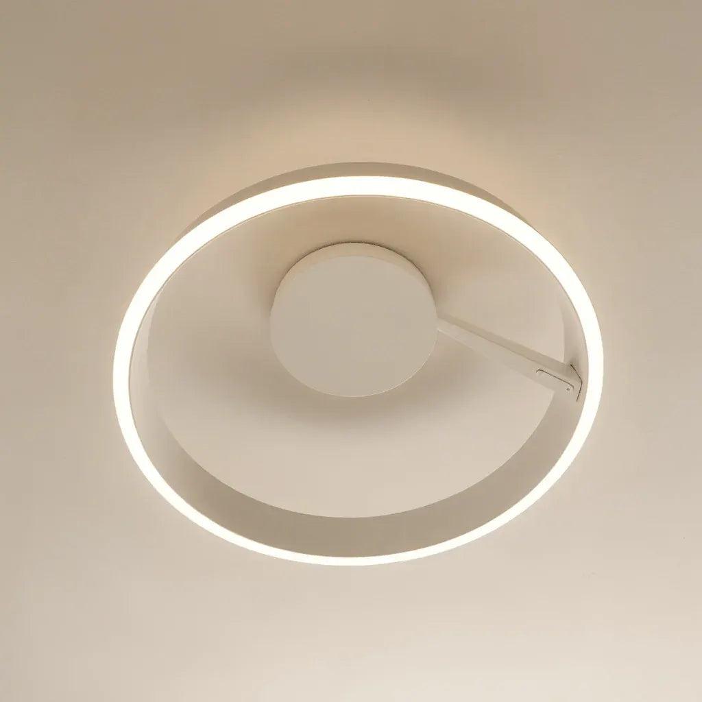 Round LED Flush Mount Ceiling Light Fixture