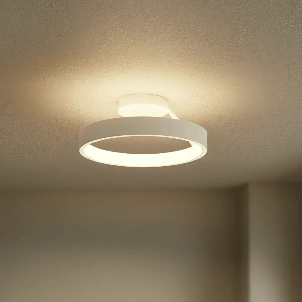 Round LED Flush Mount Ceiling Light Fixture
