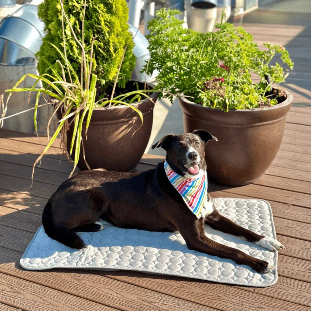 Self-Cooling Pet Mat for Dogs – Portable Air Conditioning Pad