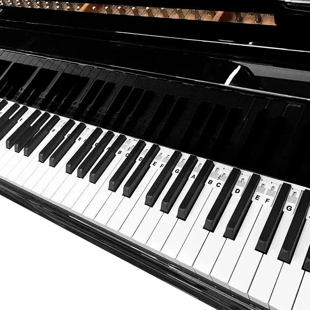 Silicone Piano Key Note Labels for Keyboard Learning