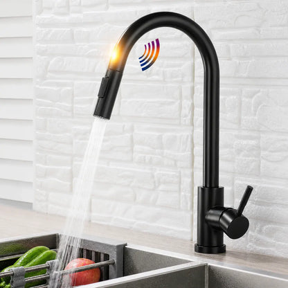 Single Handle Kitchen Sink Faucet with Pull-Down Sprayer Head