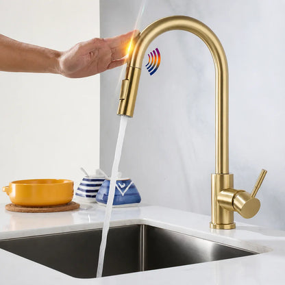 Single Handle Kitchen Sink Faucet with Pull-Down Sprayer Head